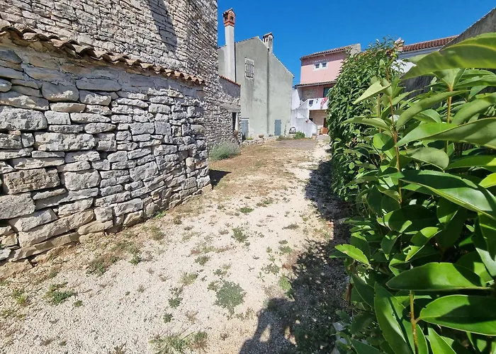 Laiki